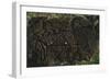 Chile, Easter Island, Rapa-Nui National Park, East Coast Papa Vaka Location, Petroglyphs-null-Framed Giclee Print