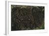 Chile, Easter Island, Rapa-Nui National Park, East Coast Papa Vaka Location, Petroglyphs-null-Framed Giclee Print