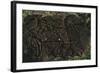 Chile, Easter Island, Rapa-Nui National Park, East Coast Papa Vaka Location, Petroglyphs-null-Framed Giclee Print
