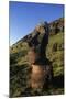 Chile, Easter Island, Rapa-Nui National Park, Rano Raraku, Anthropomorphic 'Moai' Monoliths-null-Mounted Giclee Print