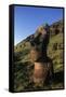 Chile, Easter Island, Rapa-Nui National Park, Rano Raraku, Anthropomorphic 'Moai' Monoliths-null-Framed Stretched Canvas