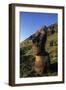 Chile, Easter Island, Rapa-Nui National Park, Rano Raraku, Anthropomorphic 'Moai' Monoliths-null-Framed Giclee Print