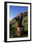 Chile, Easter Island, Rapa-Nui National Park, Rano Raraku, Anthropomorphic 'Moai' Monoliths-null-Framed Giclee Print