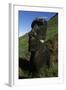 Chile, Easter Island, Rapa-Nui National Park, Rano Raraku, Anthropomorphic 'Moai' Monoliths-null-Framed Giclee Print