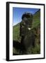 Chile, Easter Island, Rapa-Nui National Park, Rano Raraku, Anthropomorphic 'Moai' Monoliths-null-Framed Giclee Print