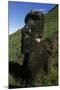 Chile, Easter Island, Rapa-Nui National Park, Rano Raraku, Anthropomorphic 'Moai' Monoliths-null-Mounted Giclee Print