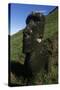 Chile, Easter Island, Rapa-Nui National Park, Rano Raraku, Anthropomorphic 'Moai' Monoliths-null-Stretched Canvas