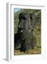 Chile, Easter Island, Rapa-Nui National Park, Rano Raraku, Anthropomorphic 'Moai' Monoliths-null-Framed Giclee Print