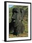 Chile, Easter Island, Rapa-Nui National Park, Rano Raraku, Anthropomorphic 'Moai' Monoliths-null-Framed Giclee Print