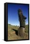 Chile, Easter Island, Rapa-Nui National Park, Rano Raraku, Anthropomorphic 'Moai' Monoliths-null-Framed Stretched Canvas