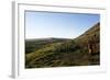 Chile, Easter Island, Rapa-Nui National Park, Rano Raraku, Anthropomorphic 'Moai' Monoliths-null-Framed Giclee Print