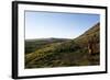 Chile, Easter Island, Rapa-Nui National Park, Rano Raraku, Anthropomorphic 'Moai' Monoliths-null-Framed Giclee Print