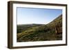 Chile, Easter Island, Rapa-Nui National Park, Rano Raraku, Anthropomorphic 'Moai' Monoliths-null-Framed Giclee Print