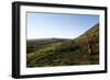 Chile, Easter Island, Rapa-Nui National Park, Rano Raraku, Anthropomorphic 'Moai' Monoliths-null-Framed Giclee Print