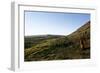 Chile, Easter Island, Rapa-Nui National Park, Rano Raraku, Anthropomorphic 'Moai' Monoliths-null-Framed Giclee Print