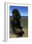 Chile, Easter Island, Rapa-Nui National Park, Rano Raraku, Tukuturi-null-Framed Giclee Print