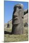 Chile, Easter Island. Rapa Nui NP, Historic Site of Rano Raraku-Cindy Miller Hopkins-Mounted Photographic Print