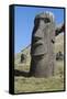 Chile, Easter Island. Rapa Nui NP, Historic Site of Rano Raraku-Cindy Miller Hopkins-Framed Stretched Canvas
