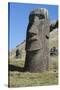 Chile, Easter Island. Rapa Nui NP, Historic Site of Rano Raraku-Cindy Miller Hopkins-Stretched Canvas