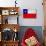 Chile Flag Design with Wood Patterning - Flags of the World Series-Philippe Hugonnard-Art Print displayed on a wall