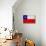 Chile Flag Design with Wood Patterning - Flags of the World Series-Philippe Hugonnard-Stretched Canvas displayed on a wall