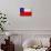 Chile Flag Design with Wood Patterning - Flags of the World Series-Philippe Hugonnard-Stretched Canvas displayed on a wall