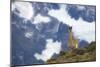 Chile, Guanaco-George Theodore-Mounted Photographic Print