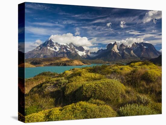 Chile, Magallanes Region, Torres Del Paine National Park, Lago Pehoe, Morning Landscape-Walter Bibikow-Stretched Canvas