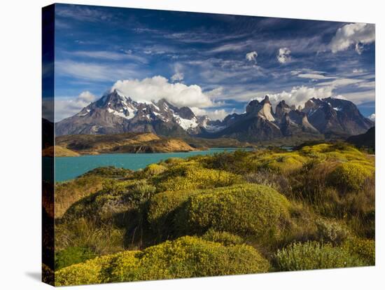 Chile, Magallanes Region, Torres Del Paine National Park, Lago Pehoe, Morning Landscape-Walter Bibikow-Stretched Canvas