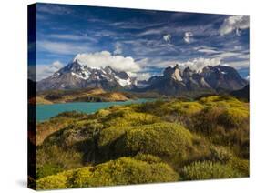 Chile, Magallanes Region, Torres Del Paine National Park, Lago Pehoe, Morning Landscape-Walter Bibikow-Stretched Canvas