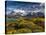 Chile, Magallanes Region, Torres Del Paine National Park, Lago Pehoe, Morning Landscape-Walter Bibikow-Stretched Canvas