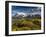Chile, Magallanes Region, Torres Del Paine National Park, Lago Pehoe, Morning Landscape-Walter Bibikow-Framed Premium Photographic Print
