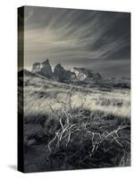 Chile, Magallanes Region, Torres Del Paine National Park, Landscape by Salto Grande Waterfall-Walter Bibikow-Stretched Canvas