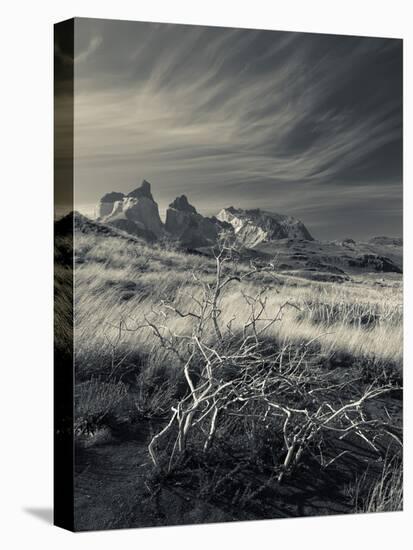 Chile, Magallanes Region, Torres Del Paine National Park, Landscape by Salto Grande Waterfall-Walter Bibikow-Stretched Canvas