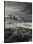 Chile, Magallanes Region, Torres Del Paine National Park, Landscape by Salto Grande Waterfall-Walter Bibikow-Stretched Canvas