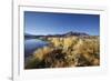 Chile, National Park Nevado Tres Cruzes, Laguna Santa Rose, Ischu Grass-Jutta Ulmer-Framed Photographic Print