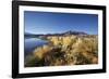 Chile, National Park Nevado Tres Cruzes, Laguna Santa Rose, Ischu Grass-Jutta Ulmer-Framed Photographic Print