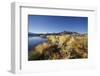 Chile, National Park Nevado Tres Cruzes, Laguna Santa Rose, Ischu Grass-Jutta Ulmer-Framed Photographic Print