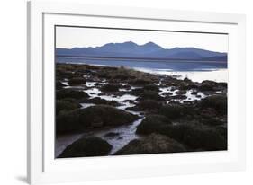 Chile, National Park Nevado Tres Cruzes, Laguna Santa Rose-Jutta Ulmer-Framed Photographic Print