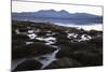 Chile, National Park Nevado Tres Cruzes, Laguna Santa Rose-Jutta Ulmer-Mounted Photographic Print