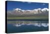 Chile, Norte Grande-Tarapacá, Andes Mountains, Lauca National Park, Guallatire Volcano-null-Stretched Canvas