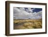 Chile, Pampas Incahuasi, Ischu Grass, Lagoon-Jutta Ulmer-Framed Photographic Print