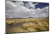 Chile, Pampas Incahuasi, Ischu Grass, Lagoon-Jutta Ulmer-Mounted Photographic Print