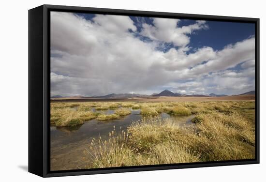 Chile, Pampas Incahuasi, Ischu Grass, Lagoon-Jutta Ulmer-Framed Stretched Canvas