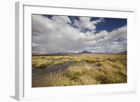 Chile, Pampas Incahuasi, Ischu Grass, Lagoon-Jutta Ulmer-Framed Photographic Print