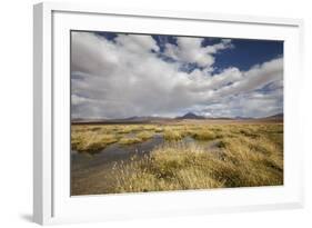 Chile, Pampas Incahuasi, Ischu Grass, Lagoon-Jutta Ulmer-Framed Photographic Print