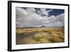 Chile, Pampas Incahuasi, Ischu Grass, Lagoon-Jutta Ulmer-Framed Photographic Print