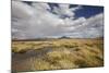 Chile, Pampas Incahuasi, Ischu Grass, Lagoon-Jutta Ulmer-Mounted Photographic Print