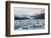 Chile, Patagonia, Icebergs in Lake Grey, Torres Del Paine-Andres Morya Hinojosa-Framed Photographic Print