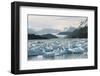 Chile, Patagonia, Icebergs in Lake Grey, Torres Del Paine-Andres Morya Hinojosa-Framed Photographic Print